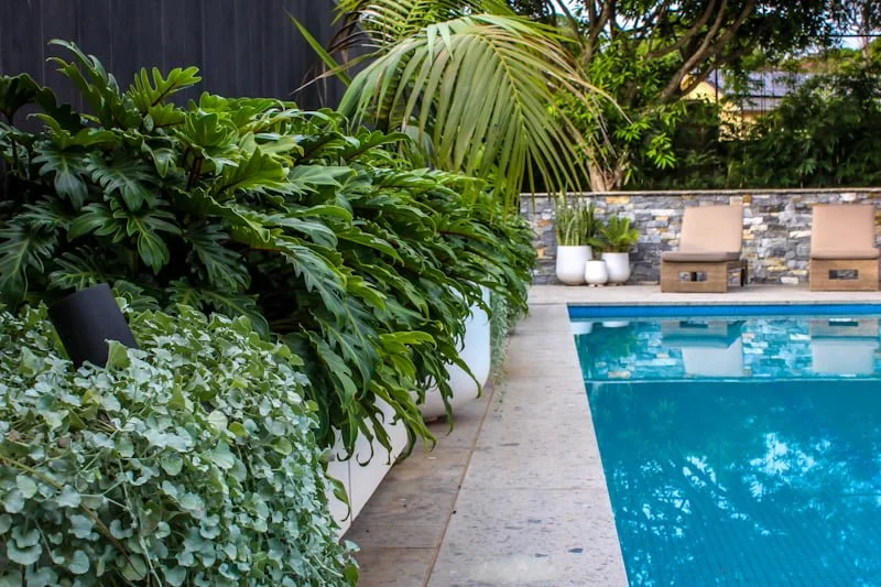 How to choose the perfect pool surround tiles