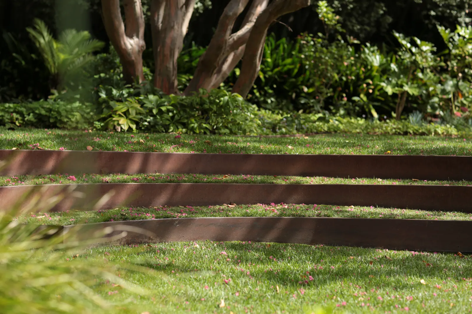 Three tiers of FormBoss Redcor steel edging holding level lawn terraces under a crepe myrtle
