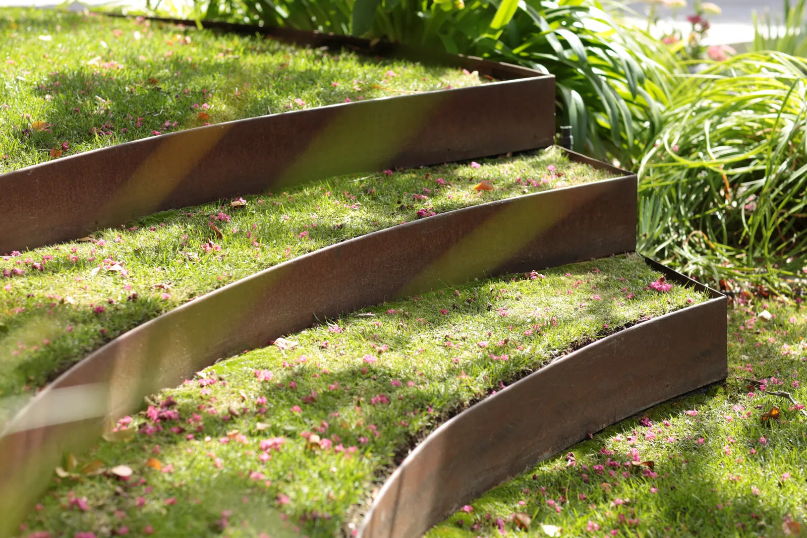 Curved FormBoss Redcor steel edging forming terraced lawn steps in a Sydney garden