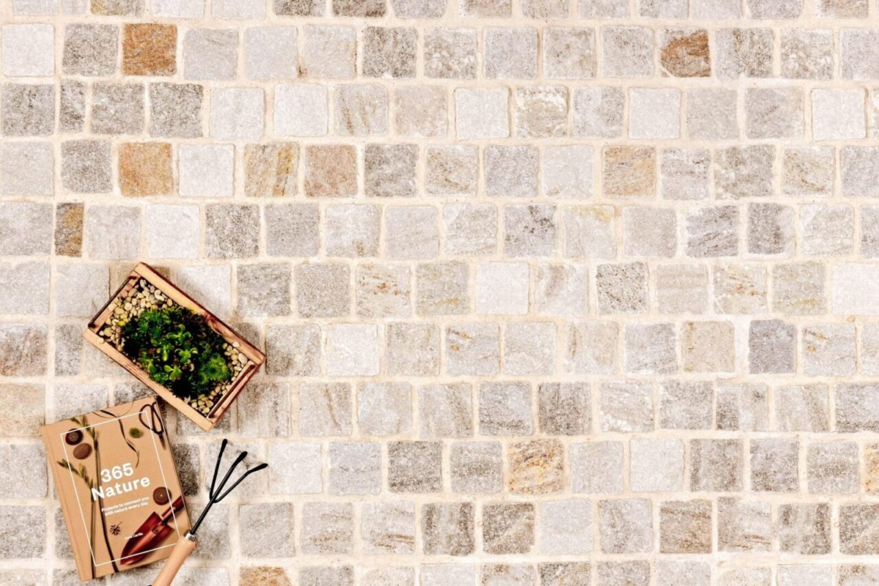 Willow-NS-1-copy-extended-2-copy-1-1